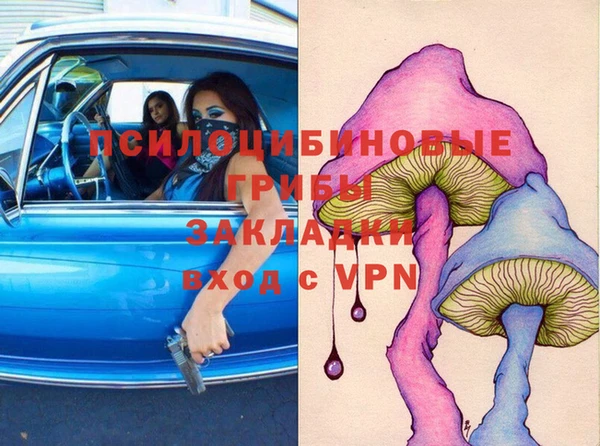 тгк Абинск