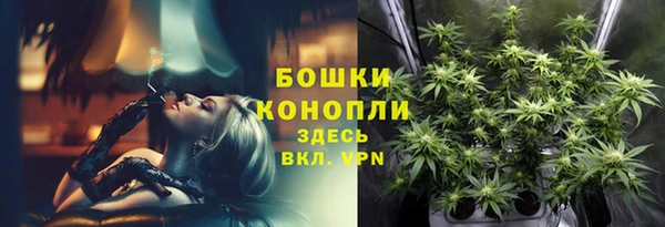 шишки Алзамай