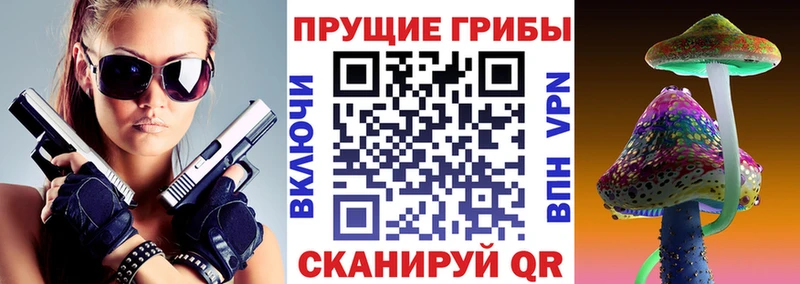 где продают наркотики Новотитаровская Псилоцибиновые грибы ЛСД